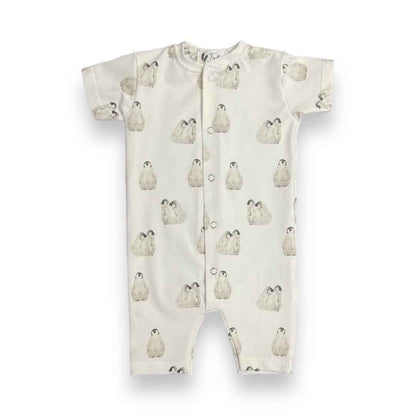 Boxpakje zomer penguin